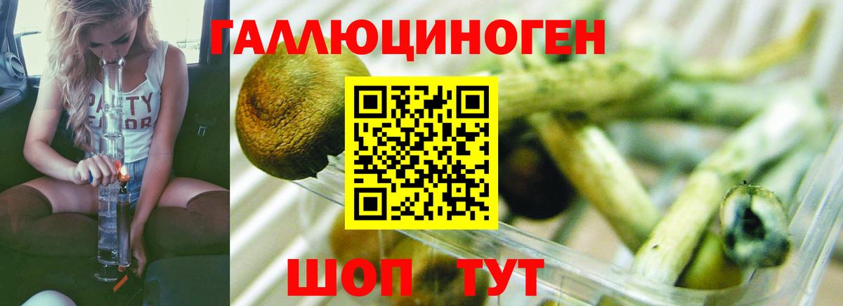 Псилоцибиновые грибы Psilocybe  Вход с VPN  Реутов  Галлюциногенные грибы ЛСД 
