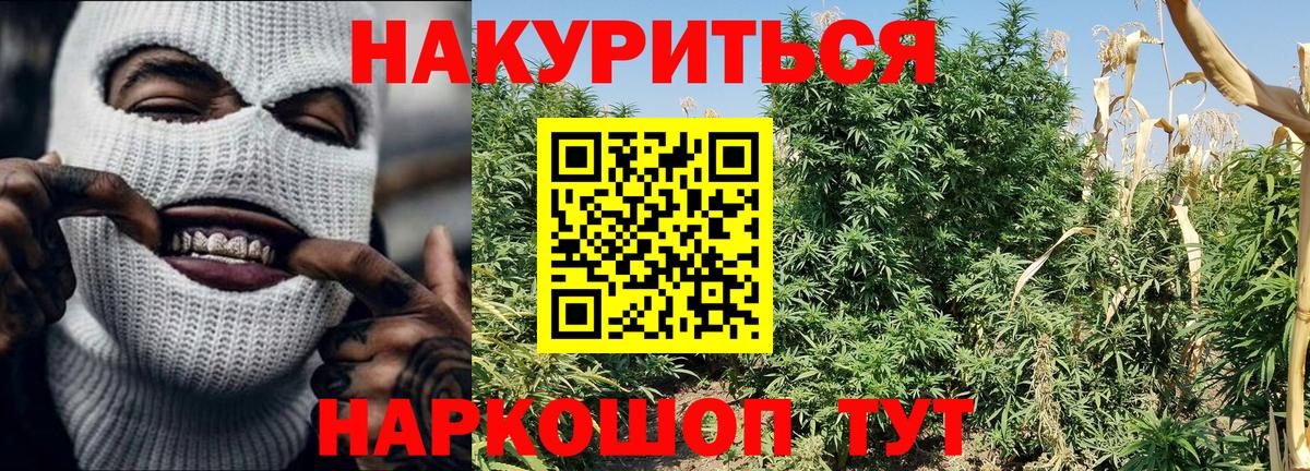 МАРИХУАНА SATIVA & INDICA Реутов
